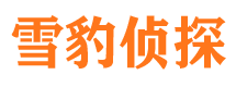 八步侦探公司